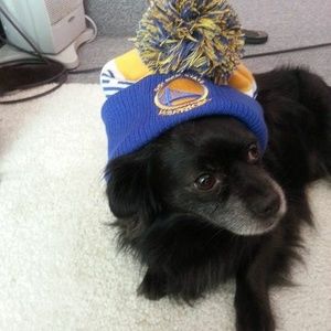 Meet your Posher, Lourdes